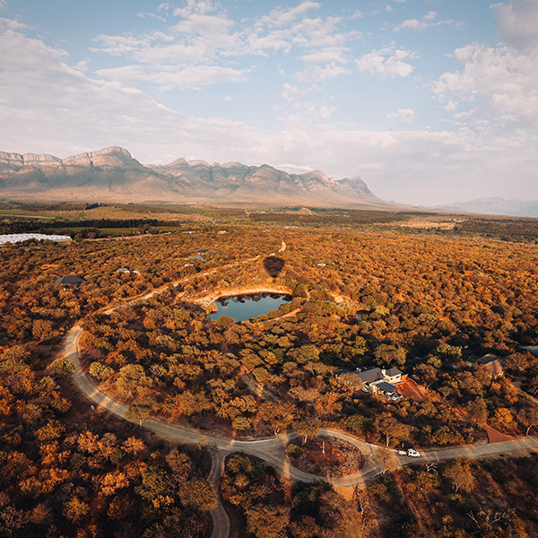 First Car Rental Now in Hoedspruit: Gateway to Safari, Scenery and the Soul of Limpopo